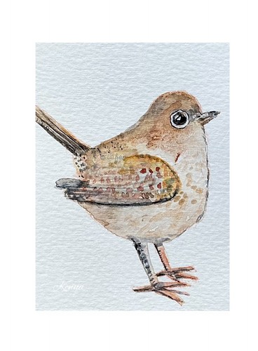 Aceo kenna wren - aceo,