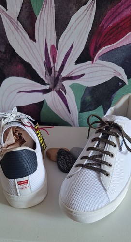 Scarpe carrera authentic - scarpe,