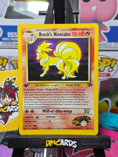 Pokemon brock ninetales - pokemon,