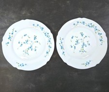 Set 2 piatti vintage Arcopal