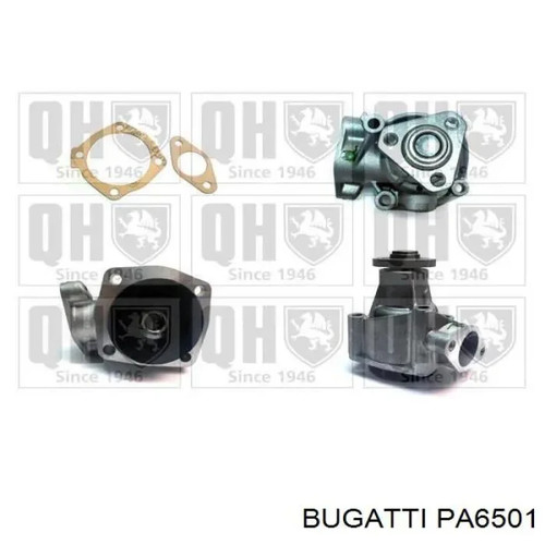 Pompa acqua xenergy fiat croma - pompa,