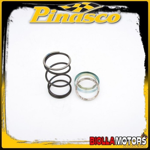 10412077 spring slider pinasco - slider,