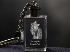 Norvegese Waldkatze, Gatto