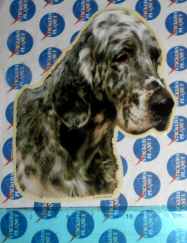 Adesivo sticker vintage - sticker,