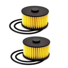Filtro gpl li10 landi - 2, x