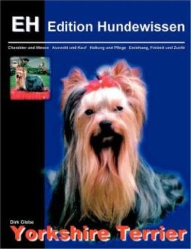 Yorkshire terrier - yorkshire,
