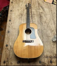 Vintage 81 Washburn D-26S Well