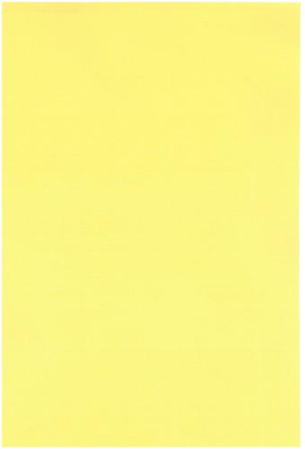 Retino adesivo giallo - retino,