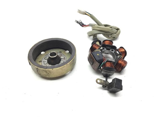 Statore campo magnetico - statore,