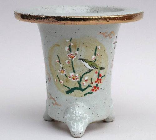 Orchidea giapponese vaso - , omoto