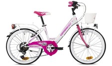 Bici Bicicletta Mountabike