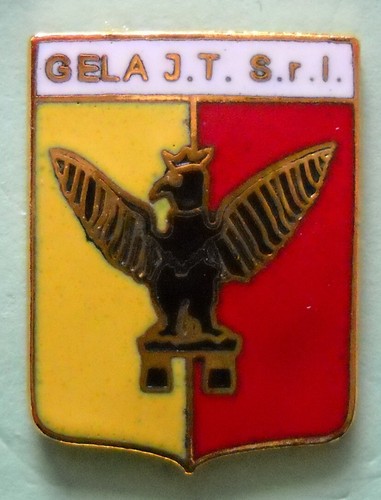 Distintivo spilla pin - distintivo,