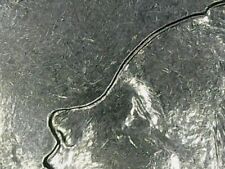 100 LIRE 1979 FAO ERRORE - SDOPPIAMENTO DEL PROFILO E DEL COLLO AL DRITTO [B573]