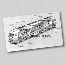 Fridge Magnet Brush HS4000