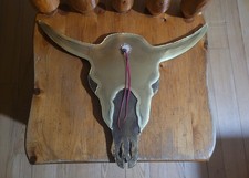 Testa di toro in rame decorativa *Teschio Longhorn firmato da Galbraith 1995