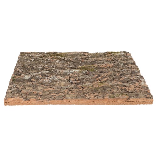 Terrario sughero corteccia - sughero,