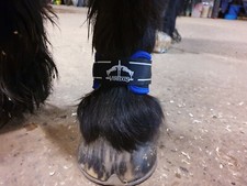 Veredus Pro Wrap Magnetik Pastern Wrap MEDIUM Magnetoterapia - (Coppia)