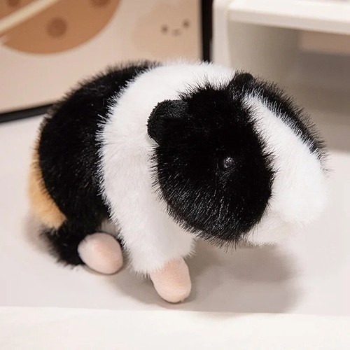 Peluche porcellino india - porcellino, d'india