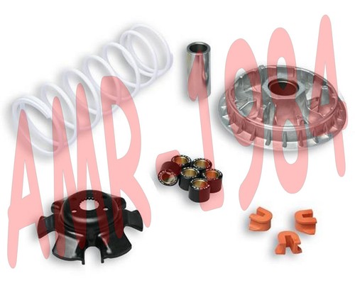 Variatore malossi multivar - variatore,