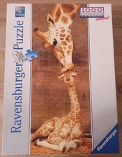 Puzzle giraffa 1000 pezzi Panorama Ravensburger