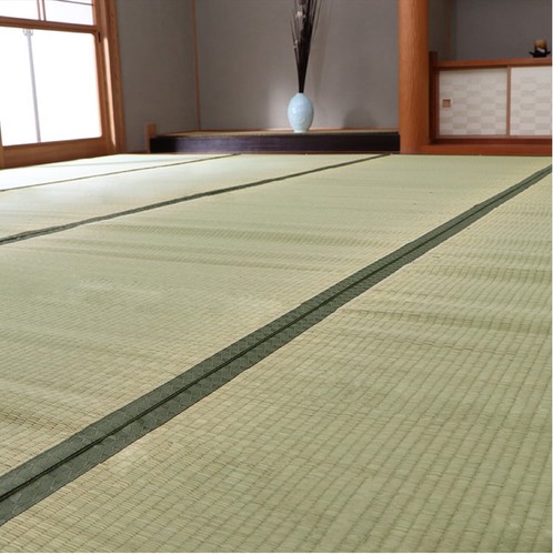 Ikehiko tappetino tatami 100 - ikehiko,