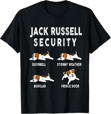 Divertente Jack Russell