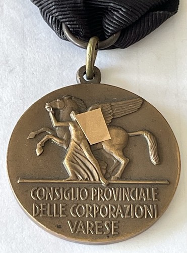 Medaglia consiglio provinciale - medaglia,
