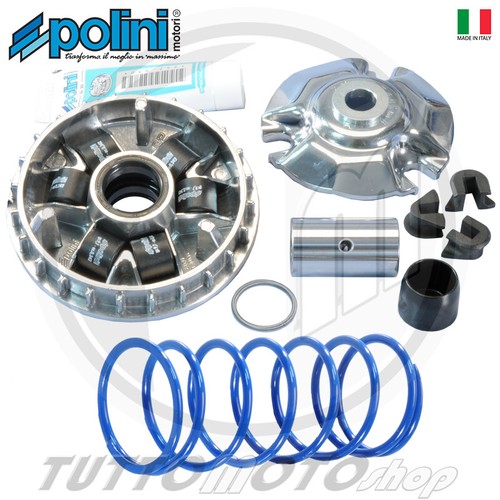 241 690 variatore polini - variatore,