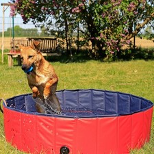 Lionto piscina per cani - lionto,