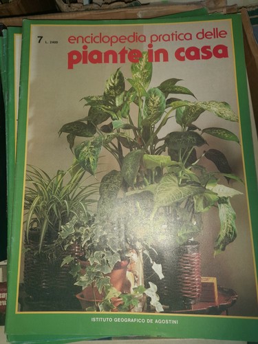 Rivista enciclopedia pratica - -enciclopedia,