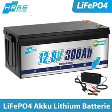 Batteria litio 12V 300Ah LiFePO4 solare camper barca batteria BMS 15000+ cicli