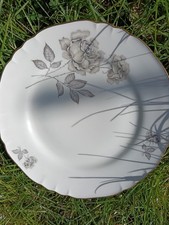 Piatti piani Richard Ginori