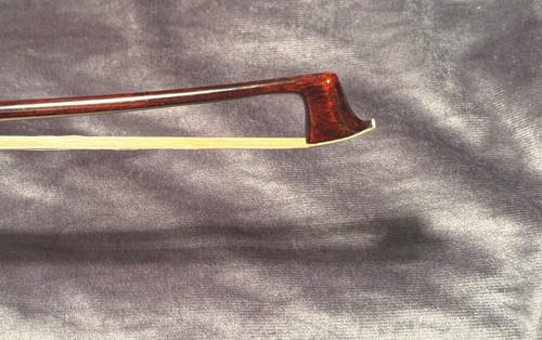 Beauty violino - beauty!, violino,