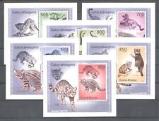 (863386) Catlike, Guinea-Bissau