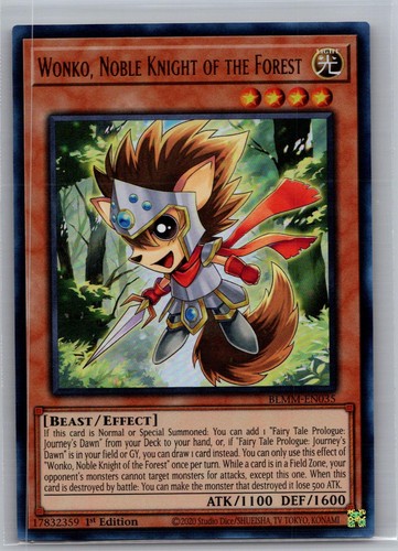 Wonko nobile cavaliere della - nobile,
