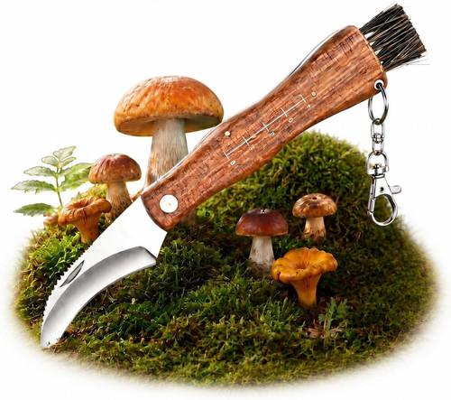 Coltello funghi con spazzola - coltello,
