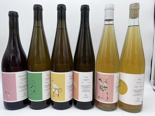 Bottiglie vino cantina - vino,
