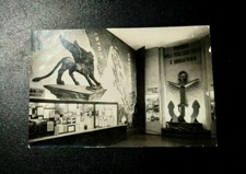 Antica Cartolina carta postale non viaggiata Sala di Fiume postkarte