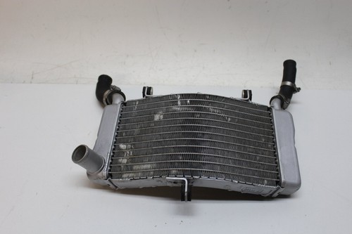 Radiatore honda - (radiatore),