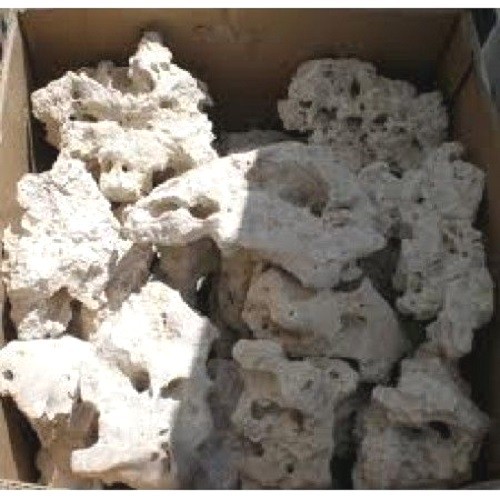 Natural ocean rock kg - ocean, 20
