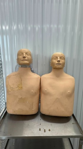 Laerdal resusci anne adulto - anne,