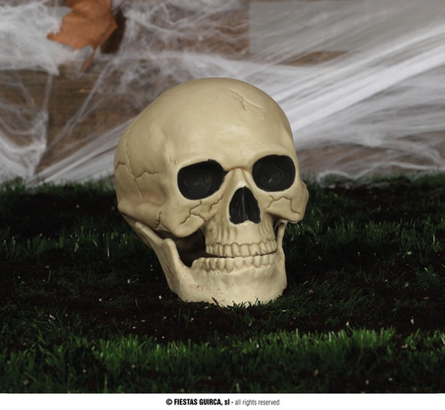 Carnevale halloween teschio - halloween,