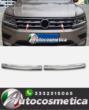 Listelli griglia del radiatore