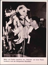 GERMANIA 1960 Interviste con