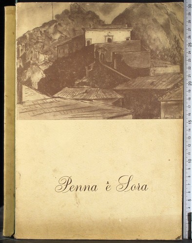 Penna sora luigi - penna,