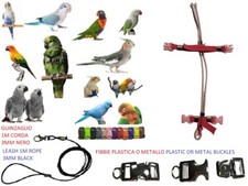 Pettorina pappagalli ROSA E