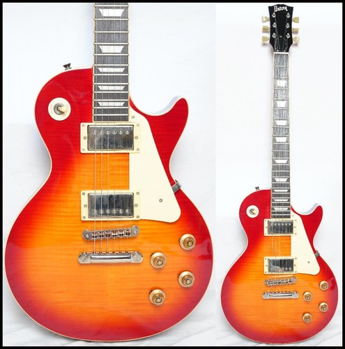Burny srlg vcs - srlg-55, paul