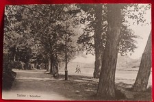 CARTOLINA TORINO VALENTINO ( C 43 )