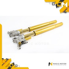 Forcelle Moto Anteriori Ohlins