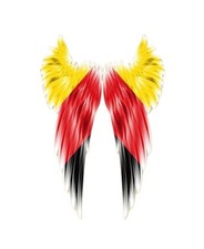 Bandiera tedesca Germania ali